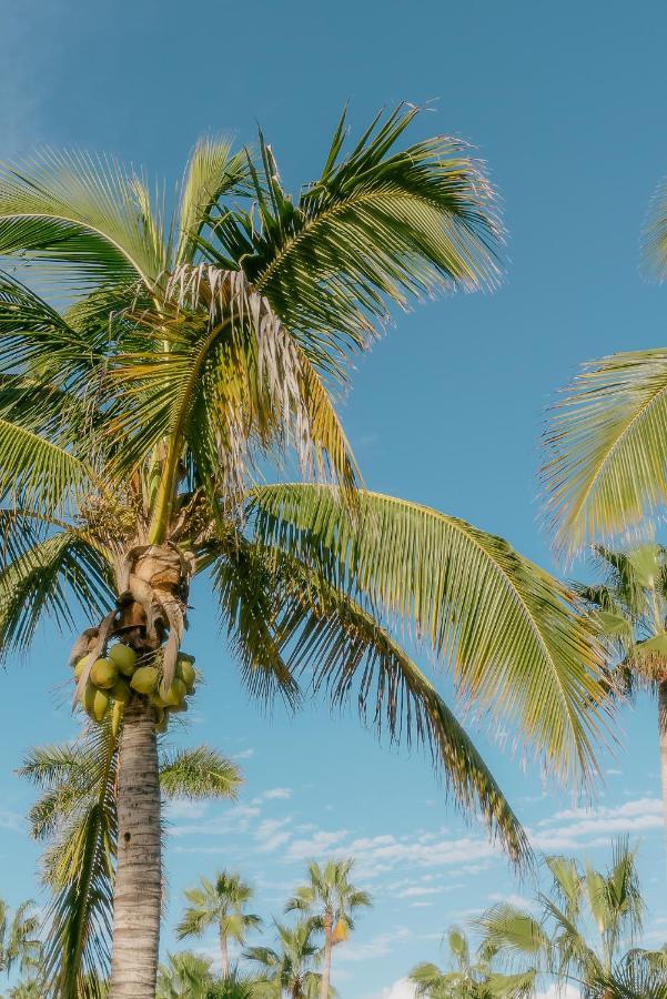 La Poza Boutique Hotel And Spa - Adults 15 Plus Todos Santos Luaran gambar