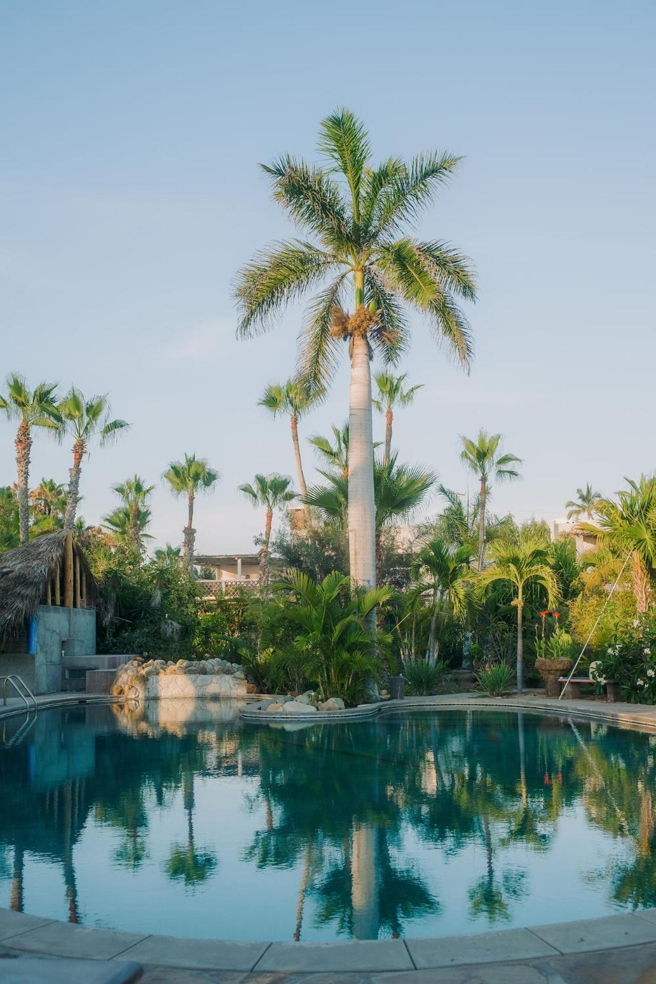 La Poza Boutique Hotel And Spa - Adults 15 Plus Todos Santos Luaran gambar
